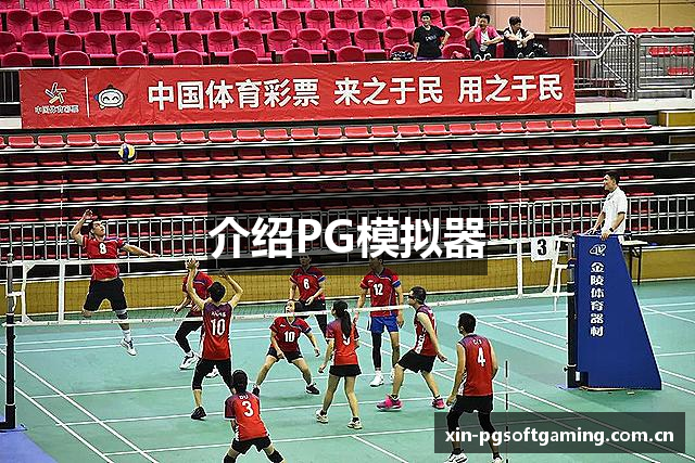 介绍PG模拟器